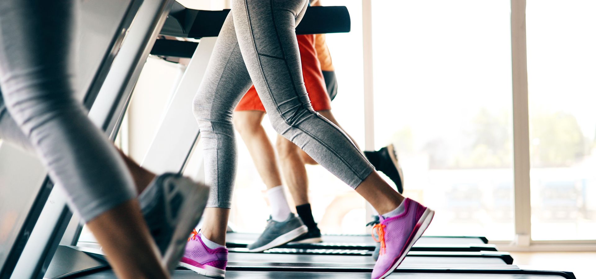 gym 1 gym 1