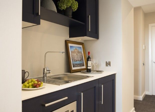 King Suite - Kitchenette (Custom)